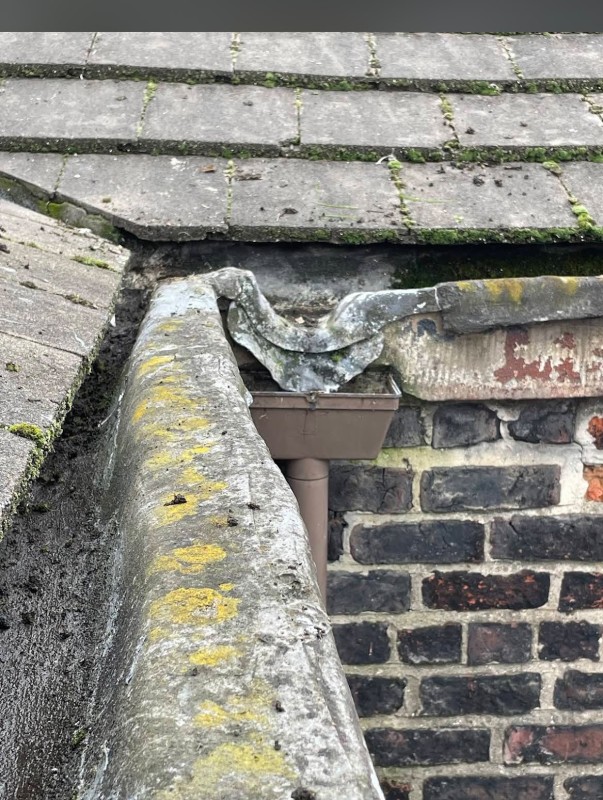 Residential gutter cleaning.jpeg